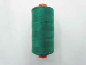 Great value Rasant Thread #1617 Emerald available to order online New Zealand