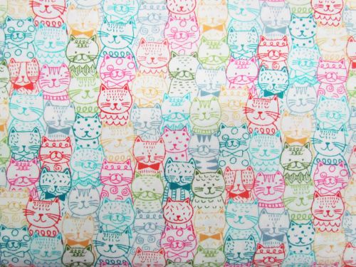 Great value Whiskers- Portrait Cats available to order online New Zealand
