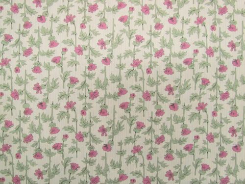Great value Devonstone Collection- Forget Me Not Rose- Mary- Pink- DV6815 available to order online New Zealand