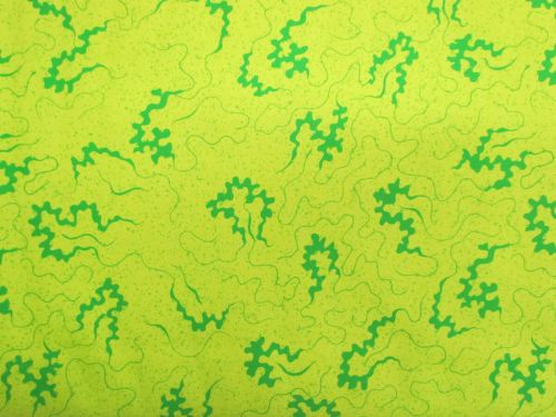 Great value Devonstone Collection- Miscellany- Cornelli- Green- DV6849 available to order online New Zealand