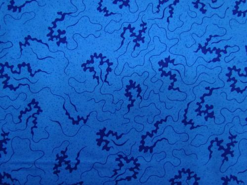Great value Devonstone Collection- Miscellany- Cornelli- Blue- DV6848 available to order online New Zealand