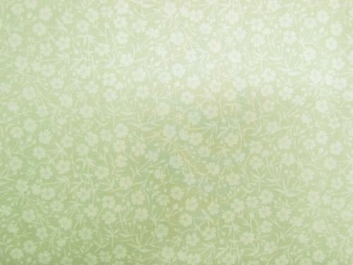 Great value Liberty Cotton- August Meadow Collection- Gooseberry available to order online New Zealand