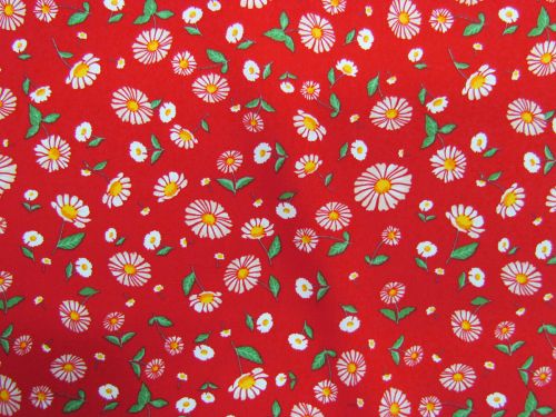 Great value Summer Daisies Cotton #PW1448 available to order online New Zealand