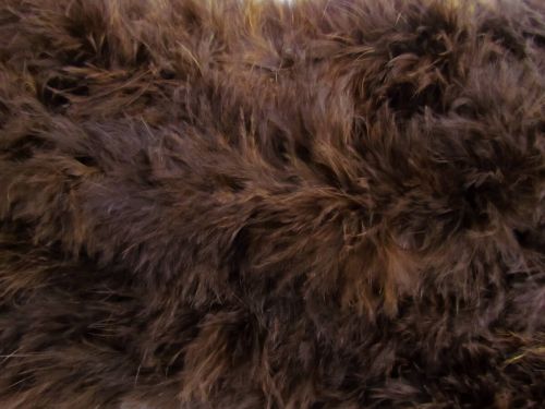 Great value Turkey Feather Trim- Warm Brown #T453 available to order online New Zealand