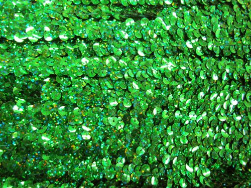 Great value Stretch Sequin Trim- 1 Row- Holographic Emerald #T335 available to order online New Zealand