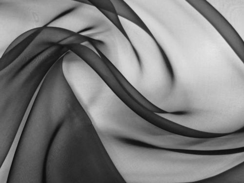 Great value Silk Organza- Spider Black #12192 available to order online New Zealand