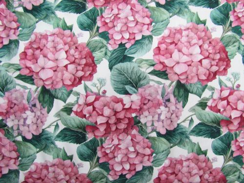 Great value Devonstone Collection- Nora's Nursery- Hydrangea- DV6718 available to order online New Zealand