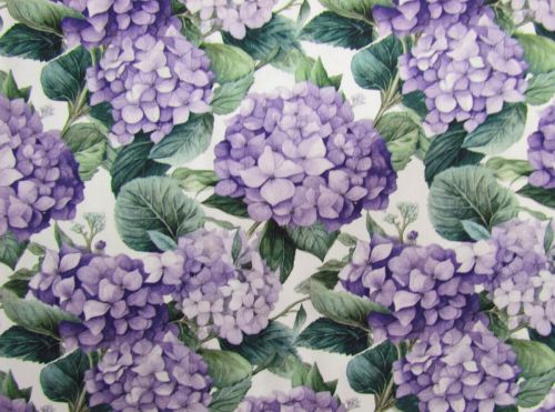 Great value Devonstone Collection- Nora's Nursery- Hydrangea- DV6717 available to order online New Zealand