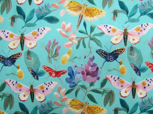 Great value Devonstone Collection- Moths- DV6727 available to order online New Zealand