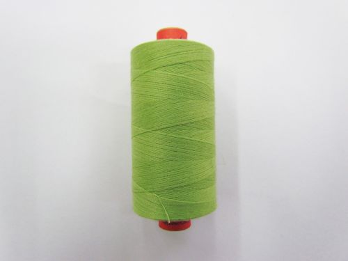 Great value Rasant Thread #1098 Apple Green available to order online New Zealand